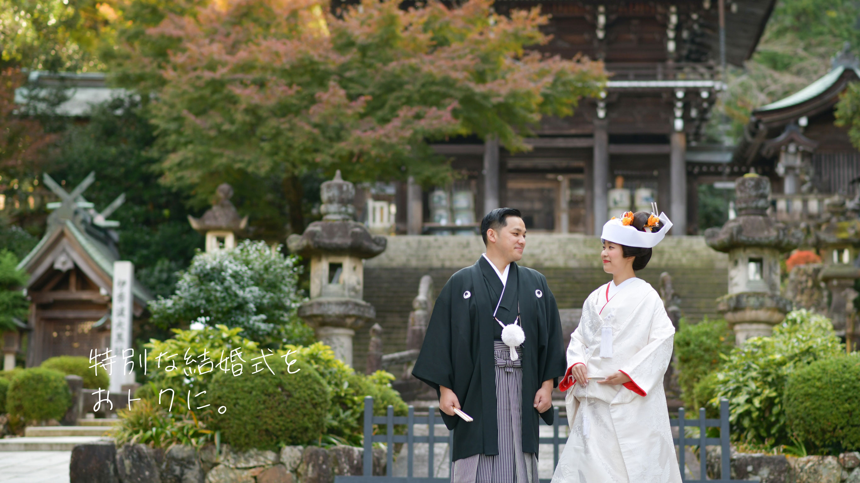 特別な結婚式をおトクに。